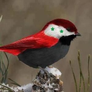 Meet your Posher, Nada